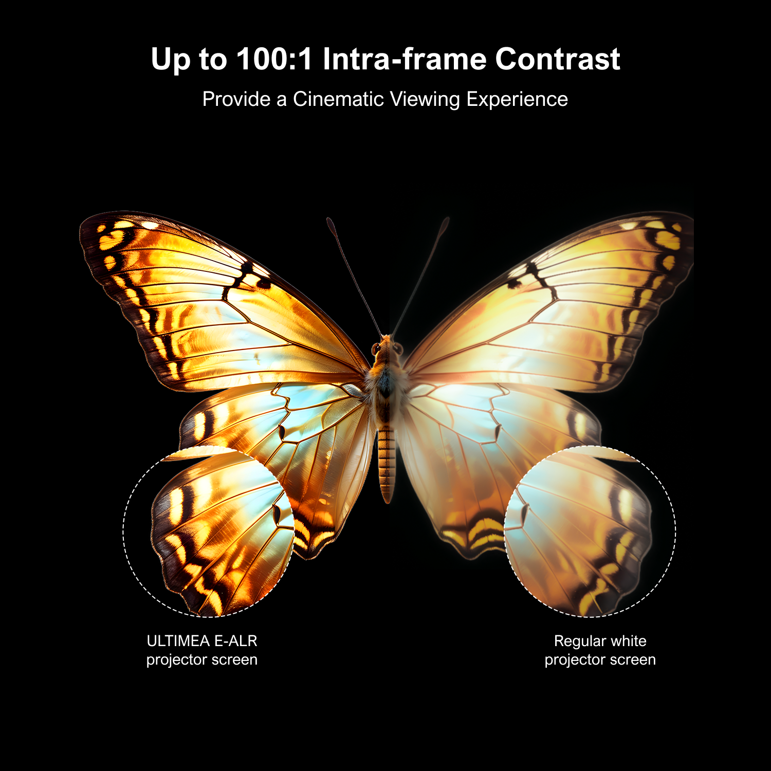 ULTIMEA E-ALR Projector Screen - مراجعة Projector Screen 100 Inch وسعره